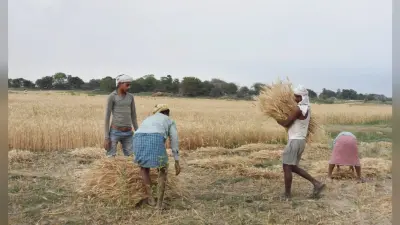 कृषि कानून के विरोध को लेकर बिहार में छह को चक्का जाम, 23 को किसान दिवस मनाने का निर्णय
