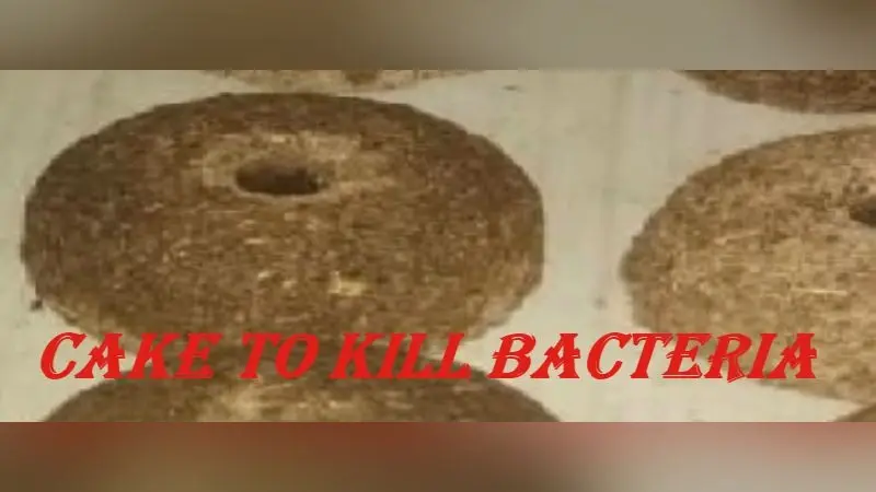आ गया वैक्टीरिया मारने वाला केक, जानें कैसे करेगा काम