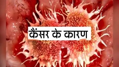 Cancer Risk: दुनियाभर में 50 साल से कम उम्र के लोगों में कैंसर का खतरा बढ़ रहा है- क्यों?