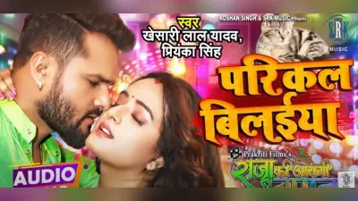 Bhojpuri Song: खेसारी लाल यादव का गाना ‘परिकल बिलईया’ इंटरनेट पर मचा रहा धमाल, ताबड़तोड़ मिल रहे वयूज