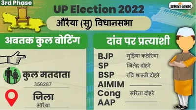 बिहार पंचायत चुनाव के पहले अवैध मिनी गन फैक्ट्री का हुआ खुलासा, मोकामा के गांव से भारी मात्रा में पिस्टल बरामद