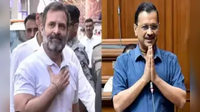‘मोहब्बत की दुकान’ में प्यार भी मिलता है ये राहुल गांधी को साबित करना होगा’, अध्यादेश पर AAP नेता का बयान