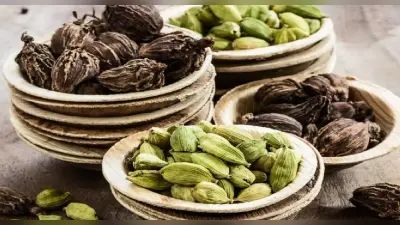 Green And Black Cardamom: हरी और काली इलायची में क्या अंतर है? अलग-अलग व्यंजनों में इनका उपयोग जानें