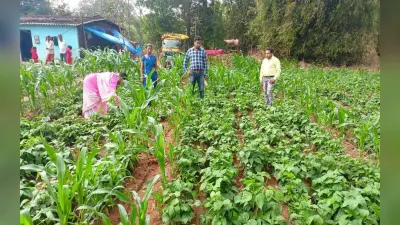 Career in Organic Farming : ऑर्गेनिक फार्मिंग में अच्छी हैं संभावनाएं