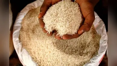 अनाज का वितरण सुनिश्चित करें प्रशासन : राजकुमार