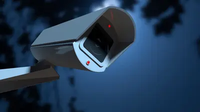 ग्रामीणों ने CCTV फुटेज की मदद से चोरों को पकड़ा, पुलिस ने थाने ले जाकर छोड़ा तो मचा हंगामा…
