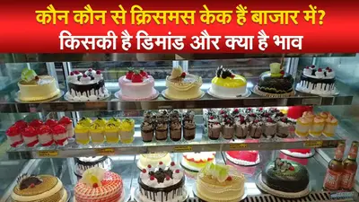 कौन कौन से क्रिसमस केक हैं बाजार में? किसकी है डिमांड और क्या है भाव