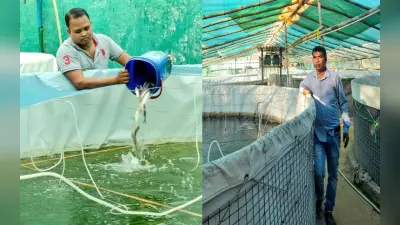 झारखंड : बायोफ्लॉक के सहारे मछली पालन कर आत्मनिर्भर बन रहे चाईबासा के युवा