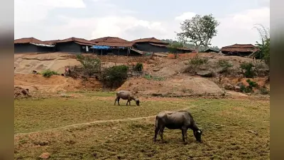 झारखंड : गुमला में आदिम जनजातियों के लिए बनी आवास योजना पर भ्रष्टाचार का ग्रहण, 70% बिरसा आवास अधूरे