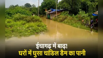 सर्दी की दस्तक के साथ झारखंड के चांडिल डैम में सैलानियों का मन मोहने लगे मेहमान परिंदे, देखिए तस्वीरें