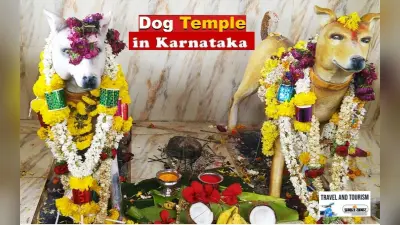 Channapatna Dog Temple: कुत्तों की होती है इस अनोखे मंदिर में पूजा, जानें कहां हैं और कैसे पहुंचे