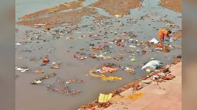 पलामू : कोयल नदी के मरीन ड्राइव छठ घाट स्थल पर फैली गंदगी, नहीं हो रही सफाई