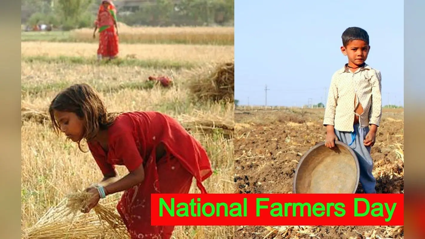 Kisan Diwas Special: भारत में 47.7 फीसदी बच्चे खेतों में करते हैं काम, अन्य देशों का ऐसा है हाल