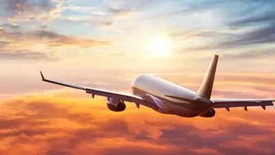 Flight cancelled: रद्द हुई लुफ्थांसा की उड़ानें, दिल्ली हवाई अड्डे पर फंसे 700 से अधिक यात्री