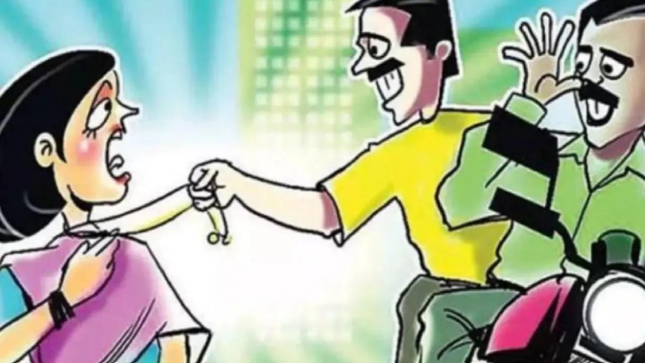 Agra: पुलिस को मिली बड़ी कामयाबी, शहर में 17 चोरी की वारदात को अंजाम देने वाले गिरोह गिरफ्तार