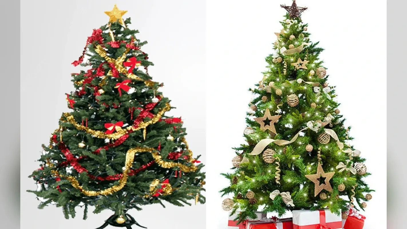 Christmas Tree Vastu Tips: अपने घर में लगाएं इस शेप के क्रिसमस ट्री, खुल जायेंगे तरक्की के रास्ते