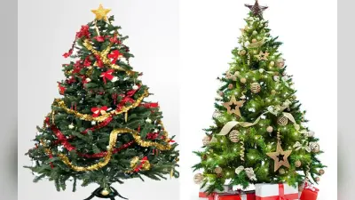 Christmas Tree Vastu Tips: अपने घर में लगाएं इस शेप के क्रिसमस ट्री, खुल जायेंगे तरक्की के रास्ते