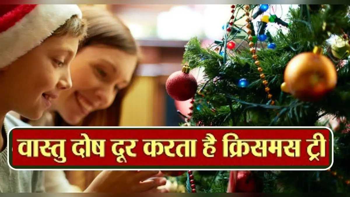 Cristmas Tree Vastu Tips: क्रिसमस ट्री रखने से होते हैं ये फायदे, दूर होता है वास्तु दोष, आप भी जानें