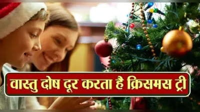 Cristmas Tree Vastu Tips: क्रिसमस ट्री रखने से होते हैं ये फायदे, दूर होता है वास्तु दोष, आप भी जानें