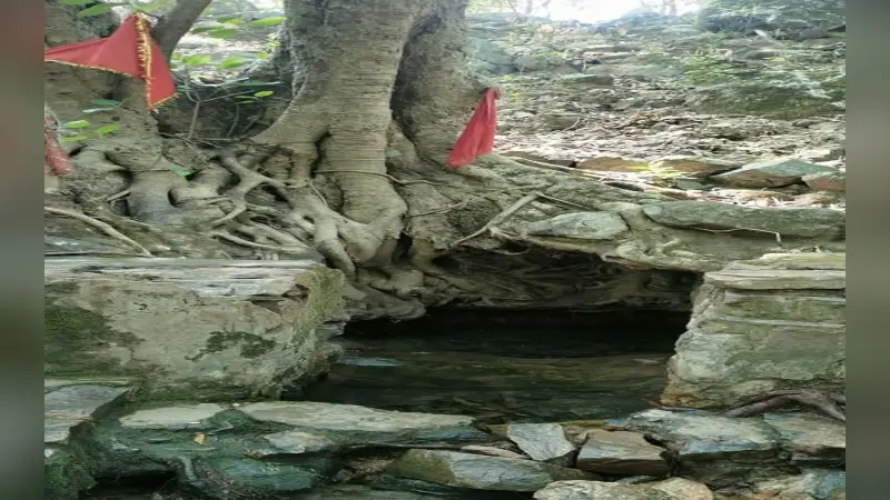 झारखंड: गंगा दशहरा के दिन 30 मई को मनेगा देवनद दामोदर महोत्सव, तीन दर्जन जगहों पर होगा आयोजन