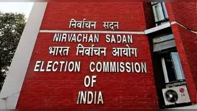 By Poll Result LIVE: मंडी लोकसभा सीट पर कांग्रेस की की जीत, बीजेपी के कौशल ठाकुर को हराया