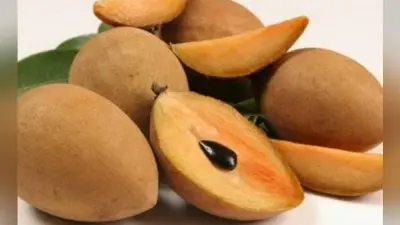 Chikoo Benefits: चीकू में छिपे हैं औषधीय गुण, स्वाद ही नहीं बीमारियों में भी है लाभकारी, जानें फायदे