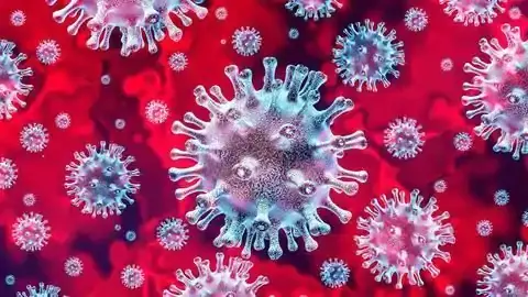 खुद की सुरक्षा के लिए फेस मास्क का प्रयोग करें: उपायुक्त