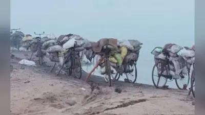 Coal: अगले कुछ वर्षों में घरेलू कोयला उत्पादन में होगी खासी वृद्धि