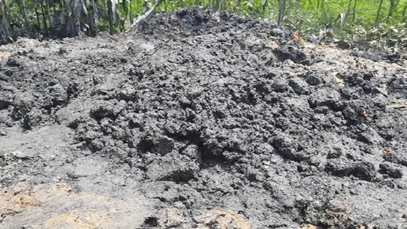 Dhanbad News: बड़ा गड़बड़झाला, पार्किंग नगर निगम की और रंगदार वसूल रहे शुल्क