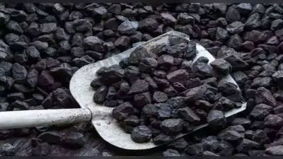 बंगाल के इस इलाके में ट्रक ही नहीं, बैलगाड़ी से भी होती है कोयले की तस्करी, 30 टन कोयला जब्त