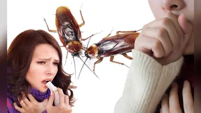Corona महामारी के बीच घर से ऐसे दूर रखें Cockroach, कफ संक्रमण के साथ हो सकती हैं ये गंभीर बीमारियां