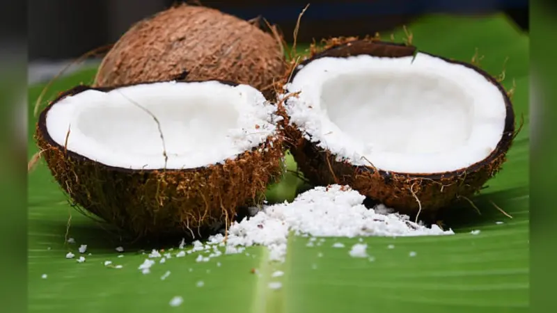 World Coconut Day 2023 :  जानिए क्या है इसे मनाने का महत्व