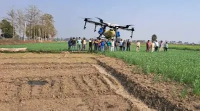 बिहार के खेतों में आसमान से बरसी यूरिया, ड्रोन से छिड़काव का ट्रायल सफल, गदगद हुए किसान