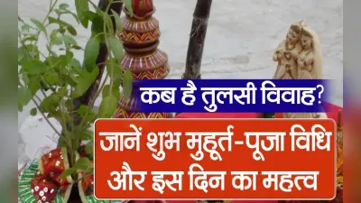 VIDEO: तुलसी की पूजा से घर में आती है सुख-समृद्धि , जानें कब है तुलसी विवाह शुभ मुहूर्त-पूजा विधि