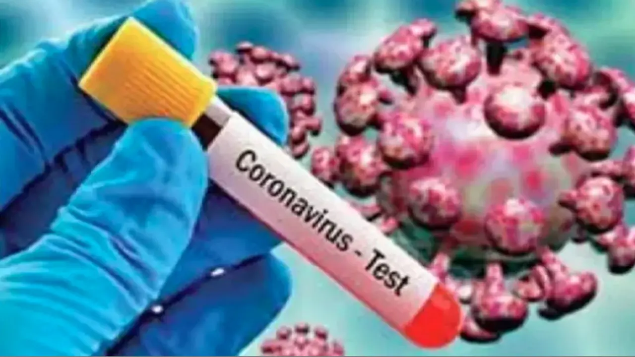 4 दिनों से RT-PCR जांच रिपोर्ट पेंडिंग, कोडरमा में कोरोना संक्रमण का पता लगाना हुआ मुश्किल