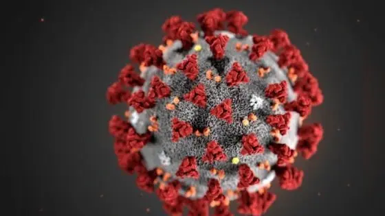 Coronavirus News: एयरपोर्ट पर नहीं लगेगी शिक्षकों की कोरोना ड्यूटी, विरोध के बाद DM ने वापस लिया आदेश