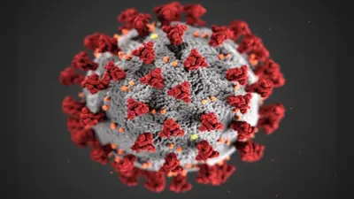 Coronavirus Update News: कोरोना की आहट से झारखंड अलर्ट, अब करना होगा इन Guidelines का पालन
