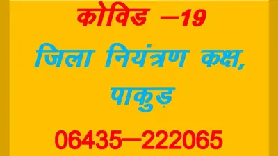 Coronavirus से बचाव के लिए ग्राम व पंचायत स्तर पर समिति बनी, टाउनहॉल, होटल को बना सकते हैं आइसोलेशन वार्ड