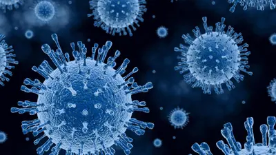 coronavirus update in bokaro : वेस्ट बोकारो में मिले आठ कोरोना पॉजिटिव