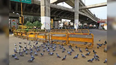 Covid19 Outbreak: जयपुर के सबसे पॉश इलाके मानसरोवर में भी कर्फ्यू, भाजपा-कांग्रेस के बीच आरोप-प्रत्यारोप शुरू