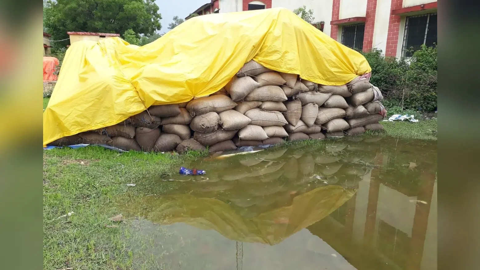 झारखंड के बोकारो व पलामू के बाद चतरा में FCI की लापरवाही, बारिश में सड़ रहा खुले में रखा 2000 बोरा धान