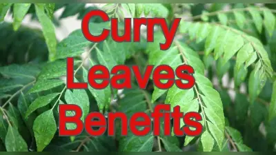 Curry Leaves Benefits:व्यंजनों में स्वाद-सुगंध बढ़ाने के साथ ही हेल्थ के लिए बेहद फायदेमंद है करी पत्ता