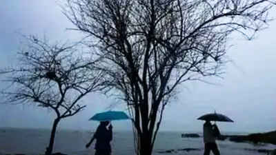 Cyclone Asani: चक्रवात ‘आसनी’ के कारण अंडमान के कुछ हिस्सों में बारिश, तेज हवाएं, सभी स्कूल-कॉलेज बंद