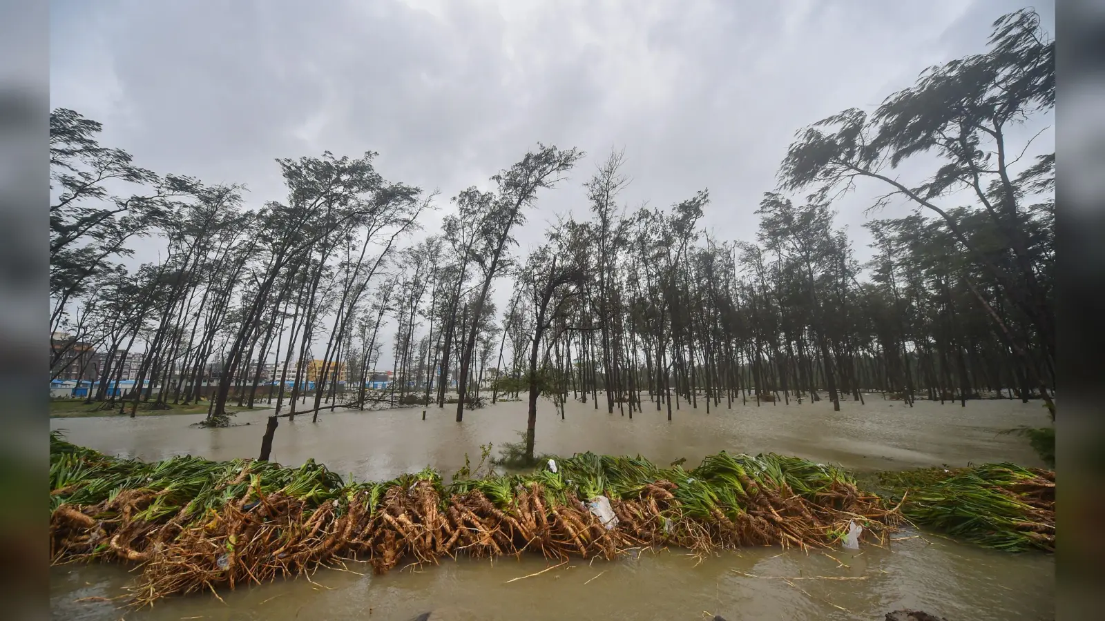 Cyclone Yaas 2021: दीघा सहित पूर्वी मेदिनीपुर के अधिकांश इलाकों में चारों ओर दिख रहा था पानी ही पानी