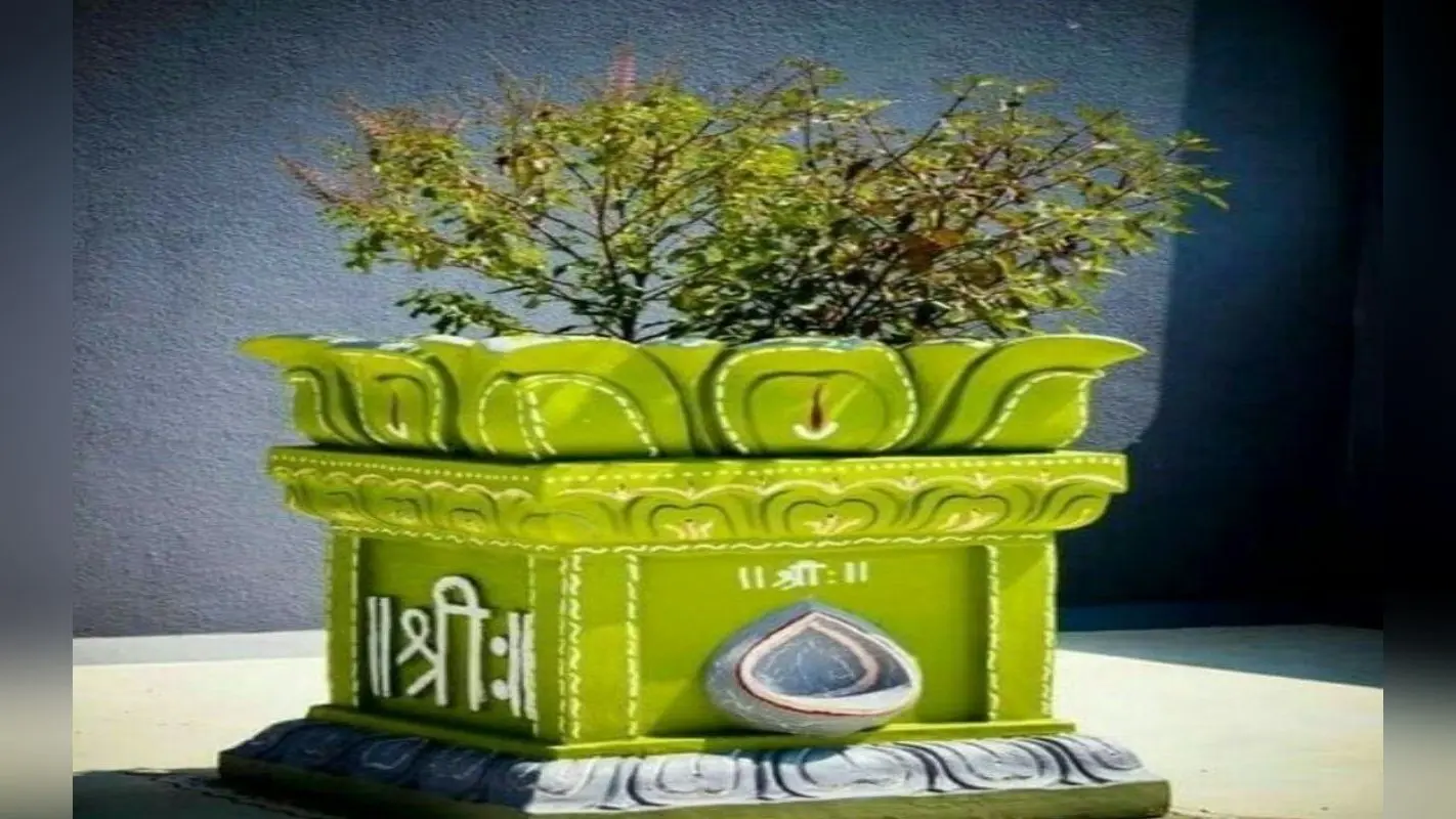 Tulsi Vastu Tips: तुलसी के सूखे पौधे घर में रखना अशुभ, हो सकते हैं कंगाल जानिए कैसे घर आएगी लक्ष्मी