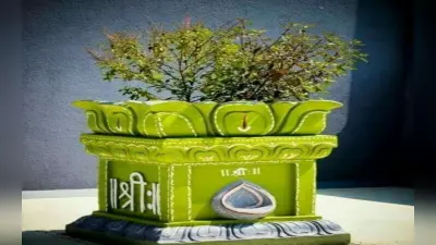 Tulsi Vastu Tips: तुलसी के सूखे पौधे घर में रखना अशुभ, हो सकते हैं कंगाल जानिए कैसे घर आएगी लक्ष्मी