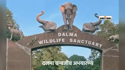 अगर करना चाहते हैं Dalma Wildlife Sanctuary को विजिट, तो जानें कब आएं यहां