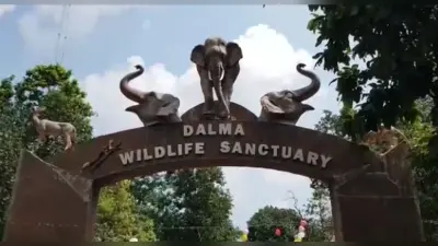 दलमा वन्य प्राणी आश्रयणी में इंट्री करना होगा महंगा, गेस्ट हाऊस का भी किराया बढ़ा