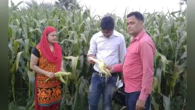 कोरोनाकाल में बिहार सरकार ने किसान सलाहकारों को दिखा तोहफा, मानदेय और सुविधाओं को बढ़ाया, जानें अब कितने पैसे मिलेंगे