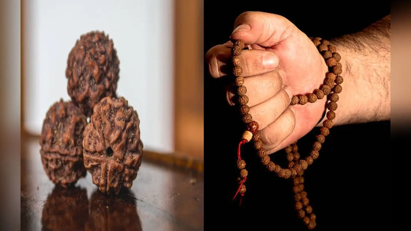 Benefits of Rudraksha: 1, 2, 4 और 7 मुखी रुद्राक्ष पहनने के फायदे, किन लोगों के लिए कैसे रुद्राक्ष है शुभ
